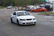 White Mustang